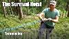 Bushcraft Survival Hoist Or Pulley Hd Bushcraft Survival Video