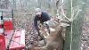 Ladder Stand Hoist 500 Lb Lifting A Deer Bucky Mountain Products LLC