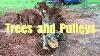 Trees And Pulleys Diy Ideas And Solutions